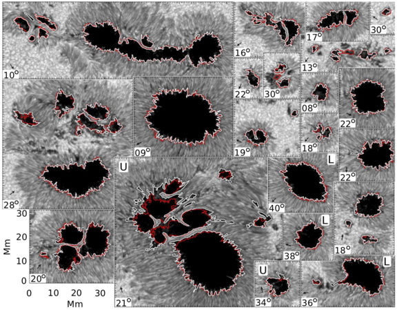 The image show a collection of some 22 sunspots regions. Each with a white and red line surrounding the dark umbra. The white and red lines are very close to each other or identical.