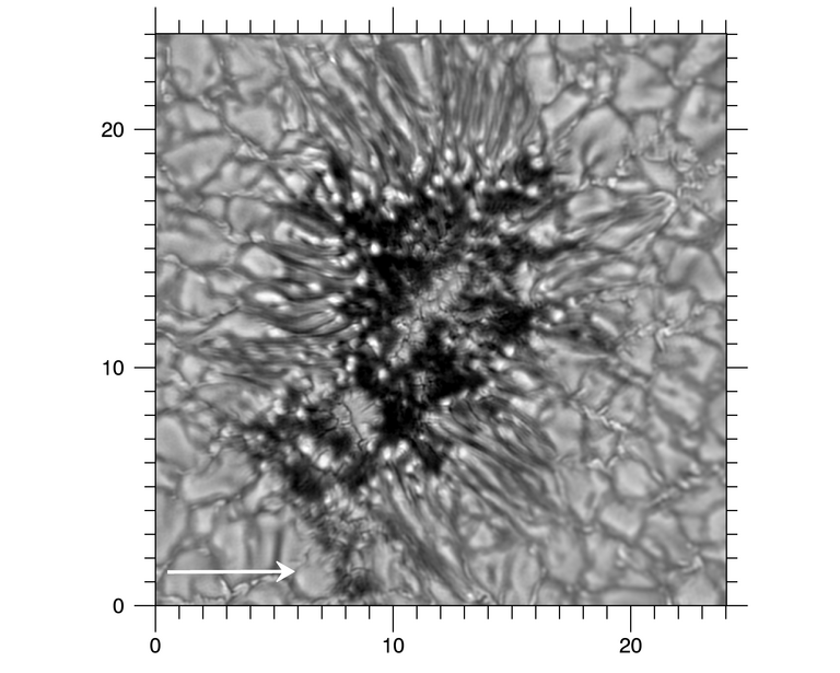 The image displays a sunspot at very high spatial resolution in black and white. Complex intensity structures are seen at small spatial scales.