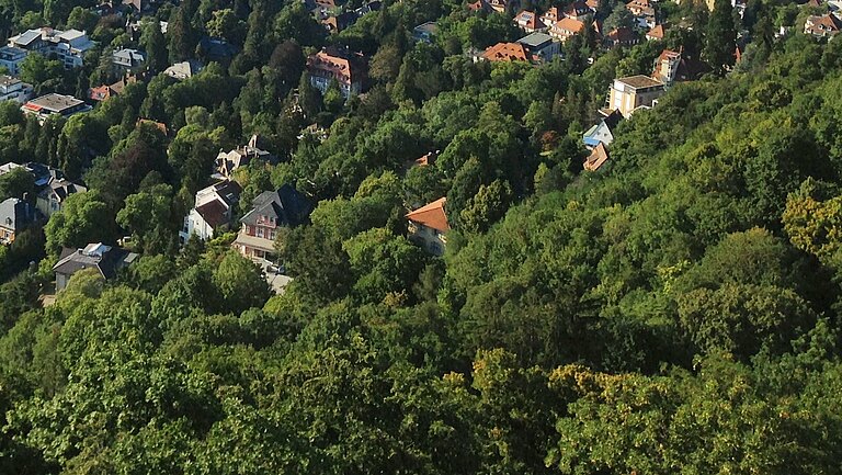 KIS_birds_eye_view.jpg