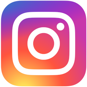 Instagram_logo_2016.svg.png 