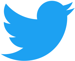 Twitter_bird_logo_2012.svg.png 