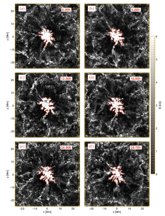 Sunspot Decay Six image panels in black-and-white show the evolution a white pattern surrounded by a red contour. The shown time snapshots are at t=0, 6, 12, 18, 24, and 30 hours. The white patterns outline the cross section of the sunspot.